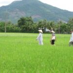 Những Mảnh Đời Bất Hạnh